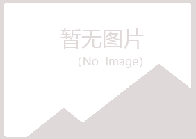 上海宝山迷失建设有限公司